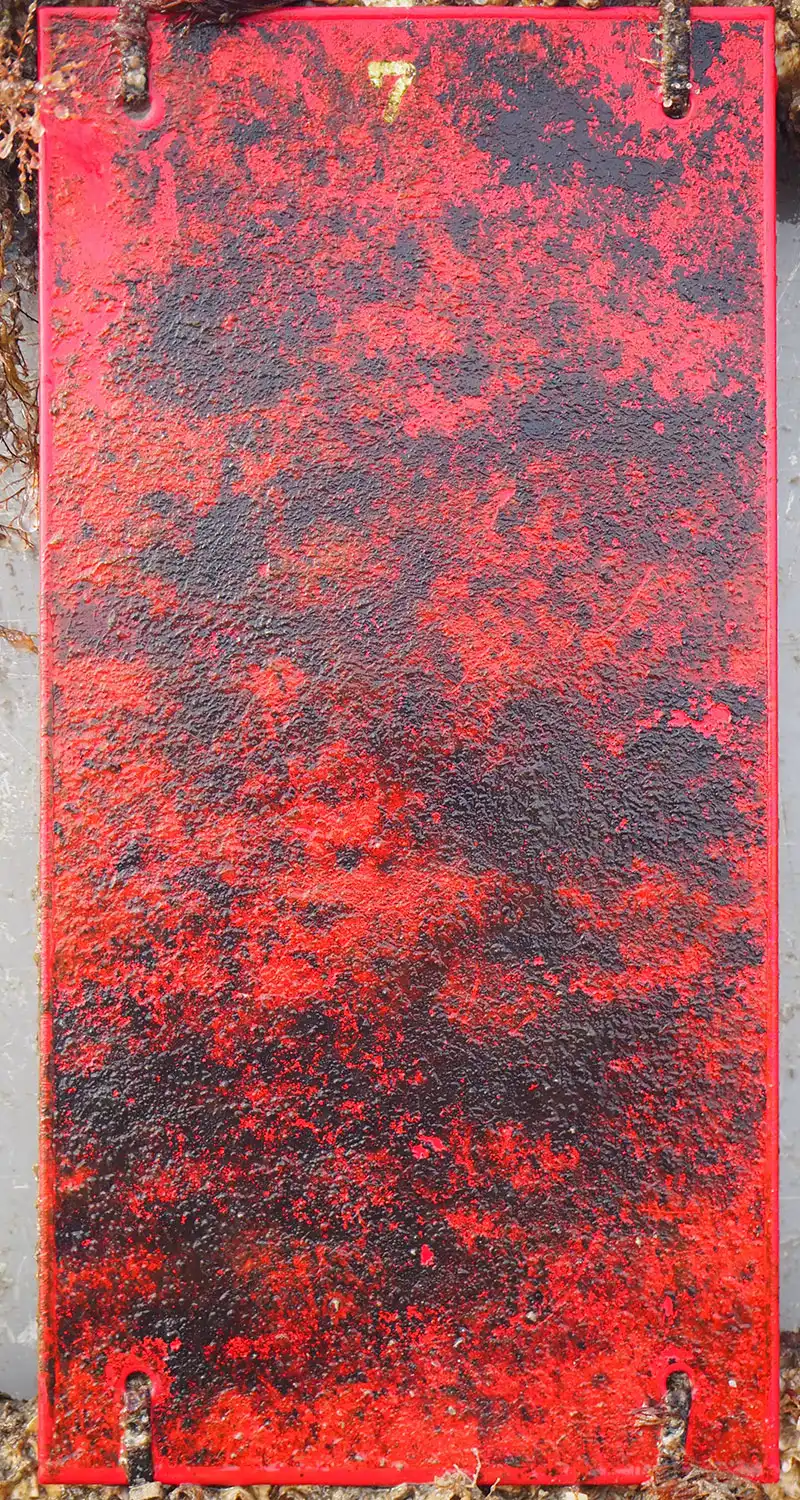Middle range Copper free panel result